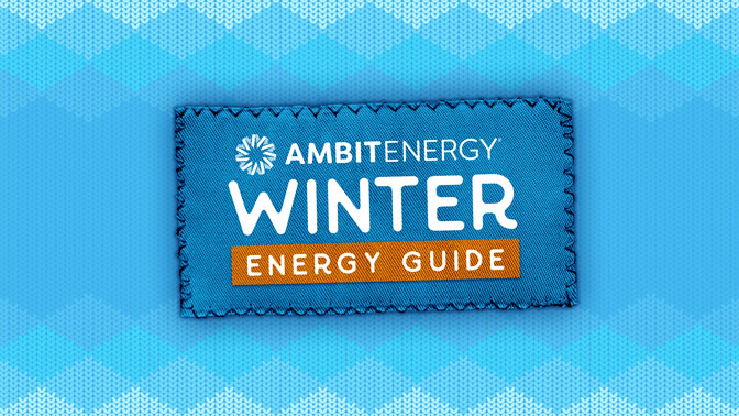 Winter Energy Guide